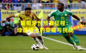 葡萄牙世预赛征程：绿茵场上的荣耀与挑战